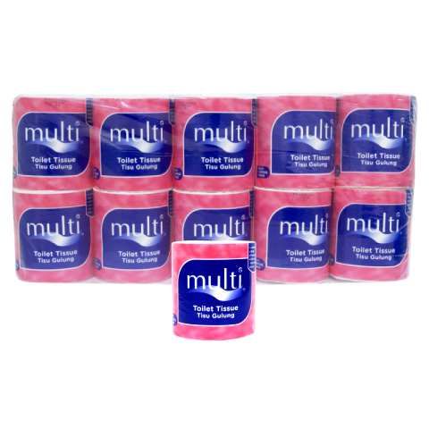 Multi Toilet Multi Unit